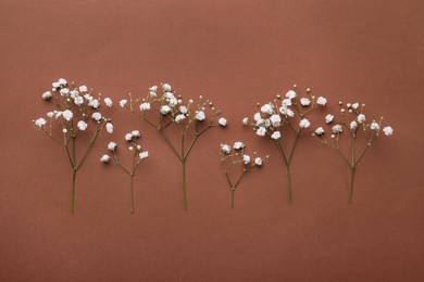Twigs of white gypsophila plant on brown background. Space for text