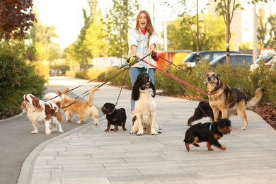 Photo of Young woman walking adorable dogs in park