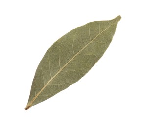 One aromatic bay leaf isolated on white