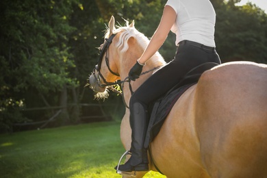 Young woman in equestrian suit riding horse outdoors on sunny day, closeup. Beautiful pet