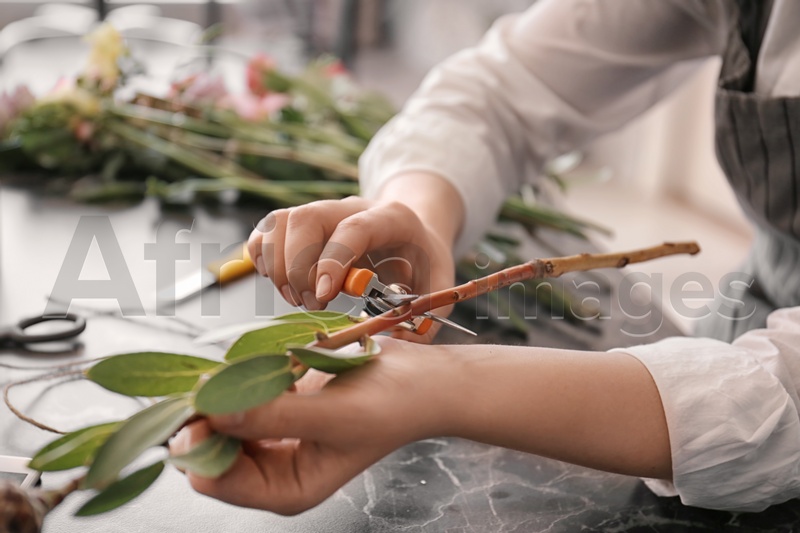Female florist pruning stem over table, closeup