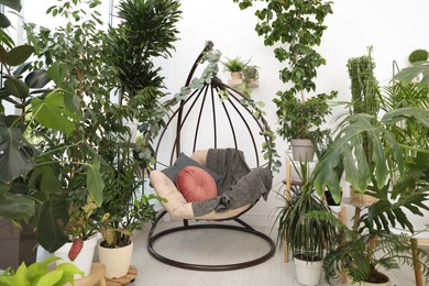 Comfortable egg chair and beautiful houseplants in room. Lounge zone interior