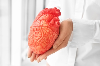 Doctor holding model of heart, closeup. Heart attack concept