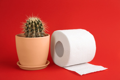 Roll of toilet paper and cactus on red background. Hemorrhoid problems