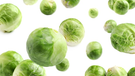 Fresh Brussels sprouts falling on white background