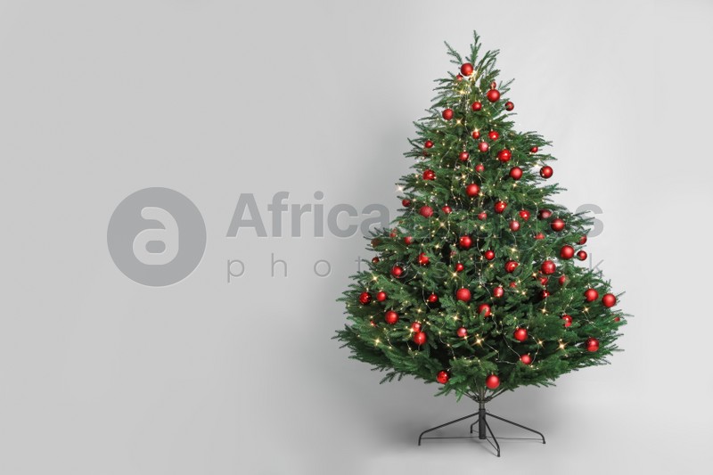 Beautiful Christmas tree with red baubles and fairy lights on white background