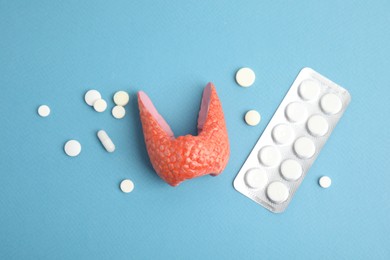 Plastic model of healthy thyroid and pills on light blue background, flat lay