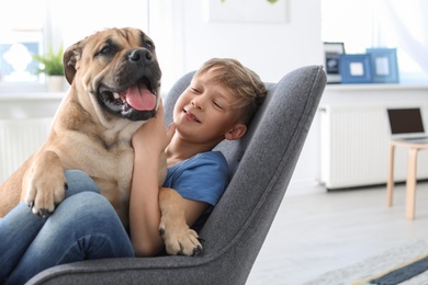 Cute little child with dog sitting in armchair at home