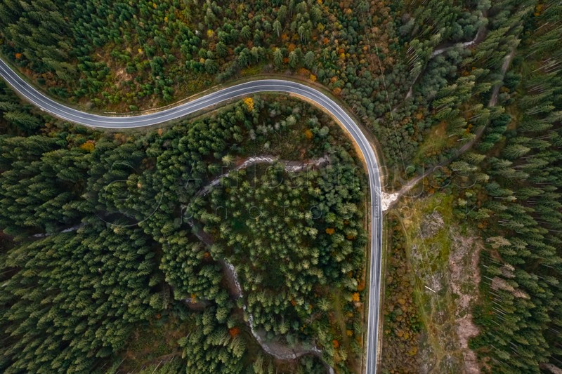 Aerial view of beautiful forest and road on autumn day