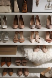 Stylish women's shoes, clothes and bags on shelving unit
