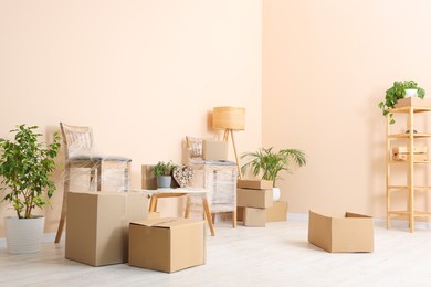 Room with moving boxes, furniture and houseplants