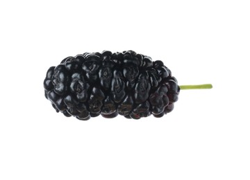 One ripe black mulberry on white background