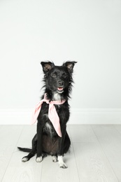 Photo of Cute black dog with neckerchief sitting near light wall in room