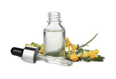 Bottle of essential oil, pipette and celandine on white background