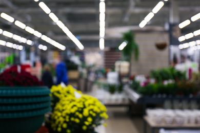 Photo of Blurred view of gardening department in mall. Bokeh effect