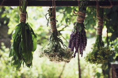 Photo of Bunches of different beautiful dried flowers hanging on wooden stick outdoors