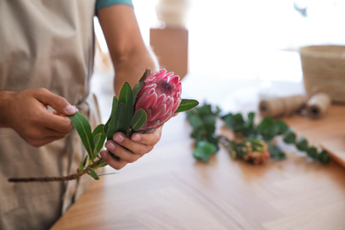 Photo of Florist with beautiful protea flower in workshop, closeup
