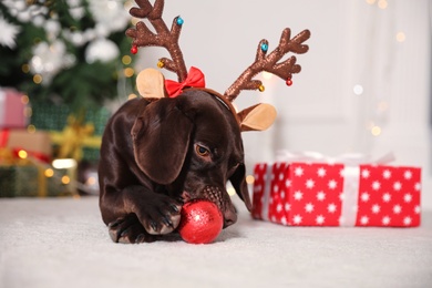 Cute dog wearing reindeer headband with Christmas ball in room
