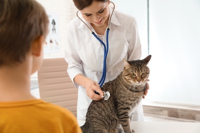 Boy with his pet visiting veterinarian in clinic. Doc examining cat