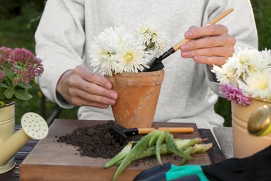 Photo of Woman transplanting flower into pot with gardening trowel, closeup