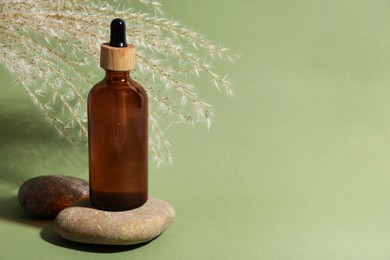 Composition with bottle of face serum, spa stones and beautiful dried flowers on light green background. Space for text