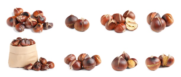 Set of sweet roasted edible chestnuts isolated on white. Banner design 