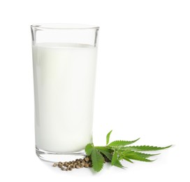 Glass of fresh hemp milk, seeds and leaves on white background