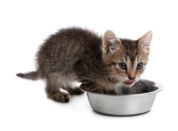 Photo of Cute little kitten eating from bowl on white background