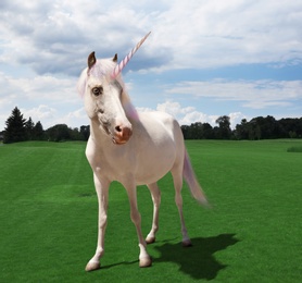 Amazing unicorn with beautiful mane in field 