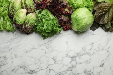 Photo of Different sorts of lettuce on white marble table, flat lay. Space for text