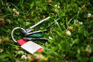Keys on green grass outdoors. Lost and found