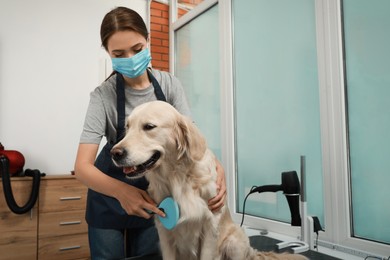 Professional groomer brushing fur of cute dog in pet beauty salon. Space for text