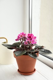 Beautiful potted violet flowers on white wooden window sill. Delicate house plant