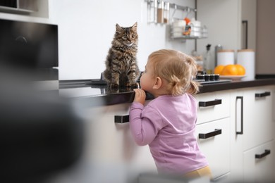 Cute little child with adorable pet on countertop in kitchen