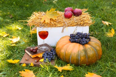 Glass of wine, book, pumpkin and grapes on green grass outdoors. Autumn picnic