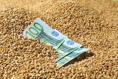 Wheat grains with euro banknotes. Global food crisis concept