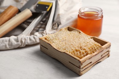 Honeycomb frame and beekeeping tools on white table