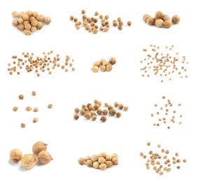 Image of Set with coriander seeds on white background