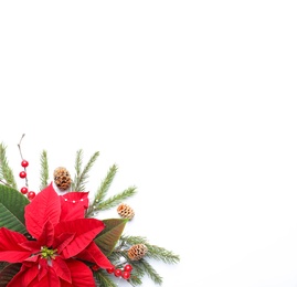 Flat lay composition with beautiful poinsettia on white background, space for text. Christmas traditional flower