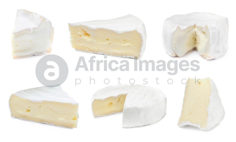 Set with tasty brie cheese on white background 