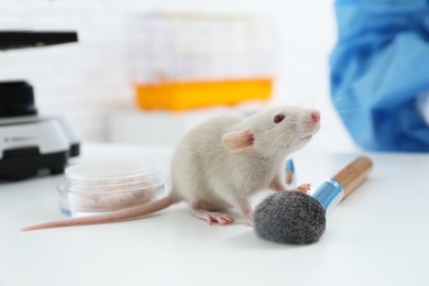 Rat and makeup products on table in chemical laboratory. Animal testing
