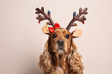 Adorable Cocker Spaniel dog in reindeer headband on light background