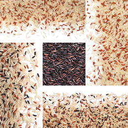 Collage with different types of rice, top view