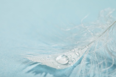 Closeup view of beautiful feather with dew drops on light blue background, space for text