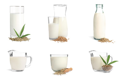 Set of glassware with hemp milk on white background