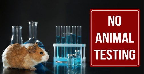STOP ANIMAL TESTING. Guinea pig and laboratory glassware on table