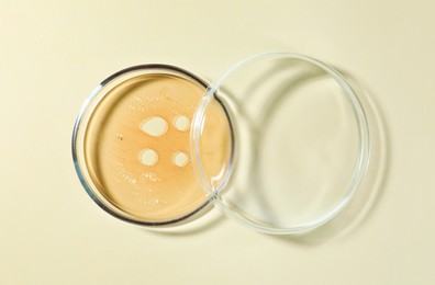Petri dish with color liquid and lid on beige background, flat lay