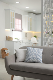 Comfortable sofa and modern kitchen in apartment. Interior design