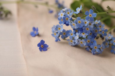Beautiful Forget-me-not flowers and parchment on white wooden table, closeup