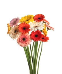 Bouquet of beautiful colorful gerbera flowers on white background